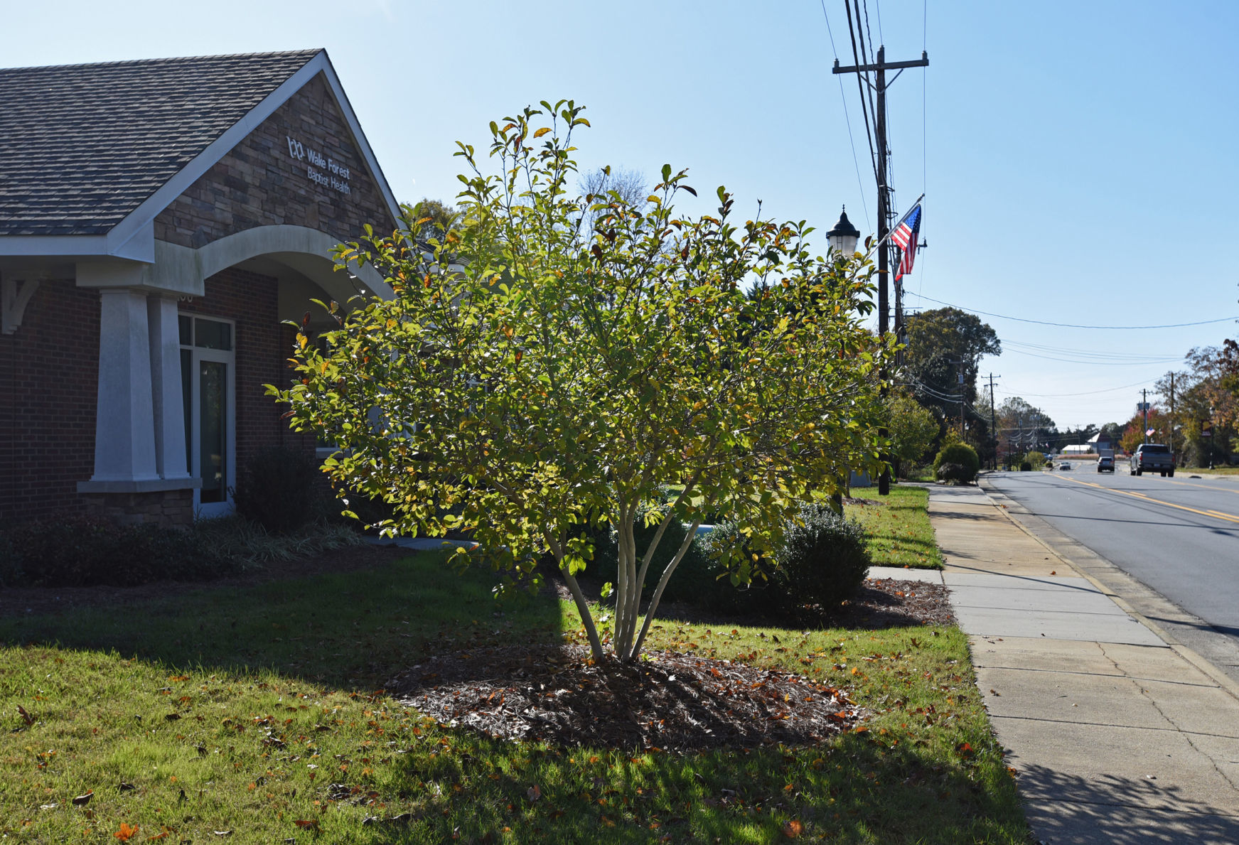 Shallowford Road streetscape
